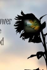Watch The Sunflower and the Sun God Gomovies