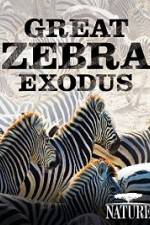 Watch Nature: Great Zebra Exodus Gomovies