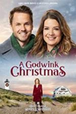 Watch A Godwink Christmas Gomovies