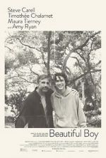 Watch Beautiful Boy Gomovies