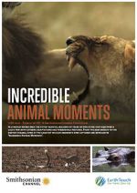 Watch Incredible Animal Moments Gomovies