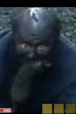 Watch The Legend of Catman Gomovies