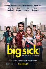 Watch The Big Sick Gomovies