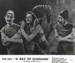 Watch A Ray of Sunshine: An Irresponsible Medley of Song and Dance Gomovies