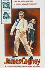 Watch A Lion Is in the Streets Gomovies