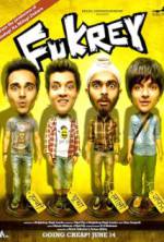 Watch Fukrey Gomovies