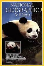Watch Secrets of the Wild Panda Gomovies