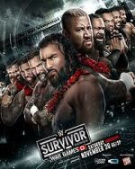 Watch WWE Survivor Series WarGames (TV Special 2024) Gomovies