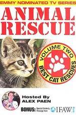 Watch Animal Rescue, Volume 2: Best Cat Rescues Gomovies