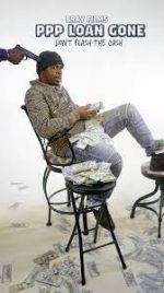 Watch PPP Loan Gone Gomovies