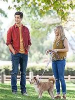 Watch Hometown Hero Gomovies