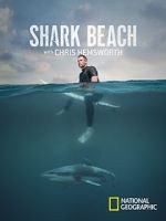 Watch Shark Beach with Chris Hemsworth (TV Special 2021) Gomovies