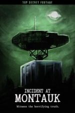 Watch Incident at Montauk Gomovies