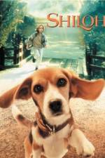 Watch Shiloh Gomovies