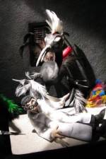 Watch Ornithology Gomovies