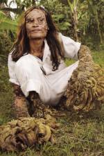 Watch Treeman Search for the Cure Gomovies