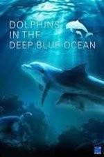 Watch Dolphins in the Deep Blue Ocean Gomovies