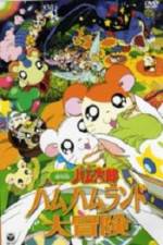 Watch Hamtaro: Adventures in Ham-Ham Land Gomovies