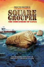 Watch Square Grouper Gomovies