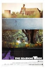 Watch The Learning Tree Gomovies