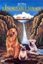 Watch Homeward Bound: The Incredible Journey Gomovies