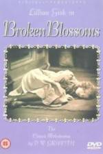 Watch Broken Blossoms or The Yellow Man and the Girl Gomovies