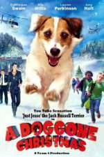 Watch A Doggone Christmas Gomovies