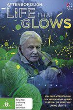 Watch Attenborough\'s Life That Glows Gomovies