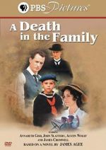 Watch A Death in the Family Gomovies