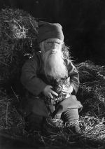 Watch Tomten Gomovies