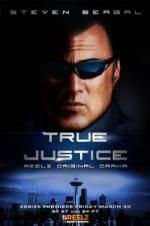 Watch True Justice: Brotherhood Gomovies