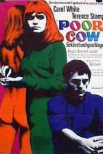 Watch Poor Cow Gomovies