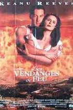 Watch A Walk in the Clouds Gomovies