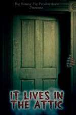 Watch It Lives in the Attic Gomovies