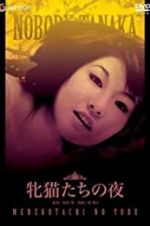 Watch Night of the Felines Gomovies