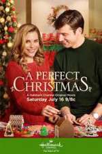Watch A Perfect Christmas Gomovies