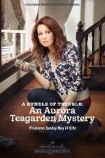 Watch A Bundle of Trouble: An Aurora Teagarden Mystery Gomovies