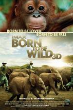 Watch Born to Be Wild Gomovies