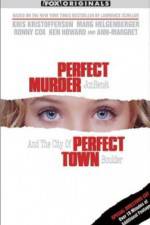 Watch Perfect Murder Perfect Town JonBenet and the City of Boulder Gomovies