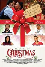 Watch For the Love of Christmas Gomovies