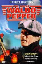 Watch The Great Waldo Pepper Gomovies