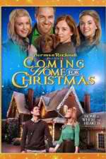 Watch Coming Home for Christmas Gomovies