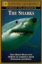 Watch National Geographic The Sharks Gomovies