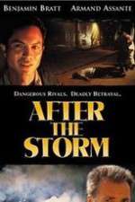 Watch After the Storm Gomovies
