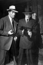 Watch No Orchids for Miss Blandish Gomovies