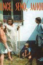 Watch Slunce, seno, jahody Gomovies