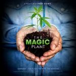 Watch The Magic Plant Gomovies