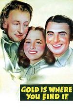 Watch Gold Is Where You Find It Gomovies