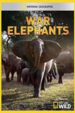 Watch War Elephants Gomovies