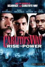 Watch Carlito's Way: Rise to Power Gomovies